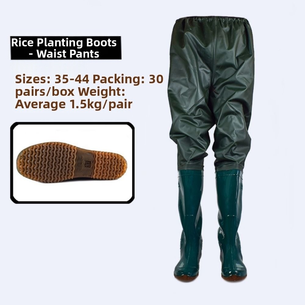 New Plastic PVC Transplant Pan - Fishing Pants Waterproof บทวิจารณ์และราคา