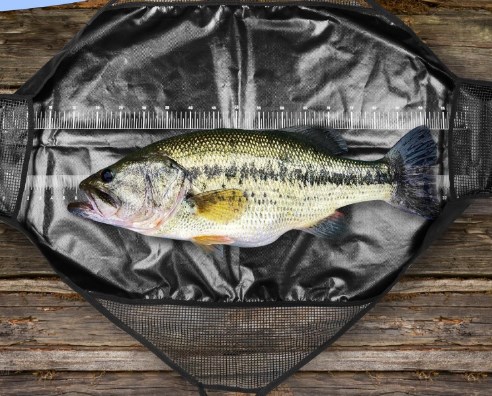 Photographed Fishing Unhooking - Fishing Bag Waterproof บทวิจารณ์และราคา